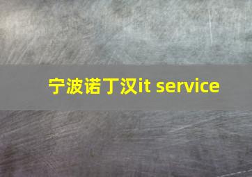 宁波诺丁汉it service